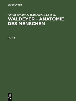 cover image of Waldeyer – Anatomie des Menschen